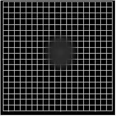How to use an Amsler Grid – Front Range Retina