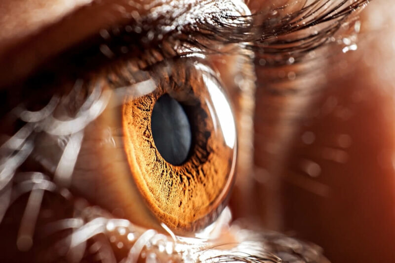 Closeup of a brown eye