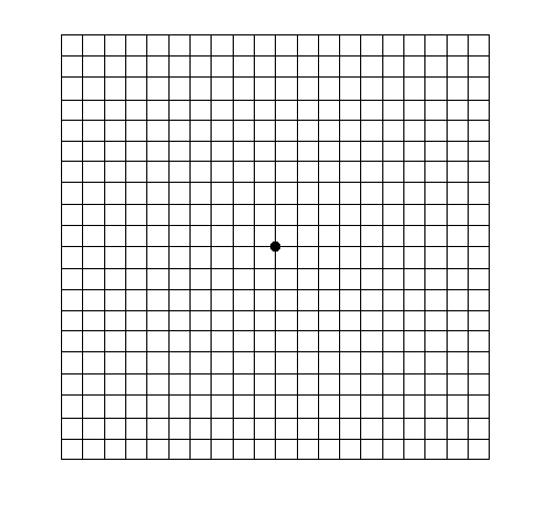 Amsler Eye Test Grid. Oculist Vector Printable Chart Retina